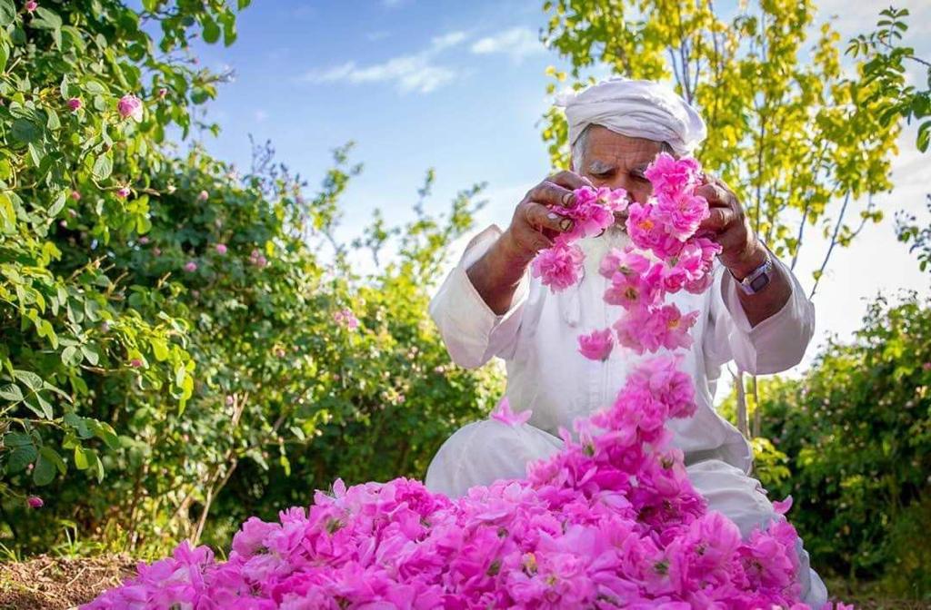 حي الجبل